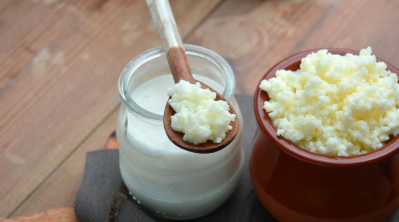 I cibi fermentati: yogurt, kefir e miso potenti alleati del tuo intestino